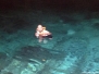 Cenote Dos Ojos 2016