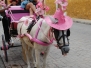 Izamal, Yucatan, MX 2017