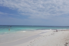 20160420_153337